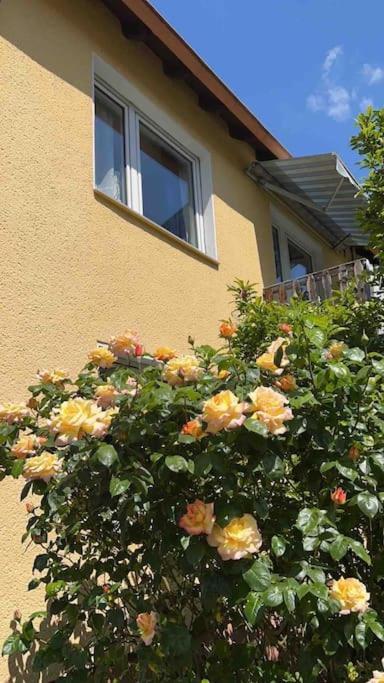 Duesseldorf Messe And Airport, 2-Bedroom Apartment With Kitchen And Garden Duisburg Ngoại thất bức ảnh