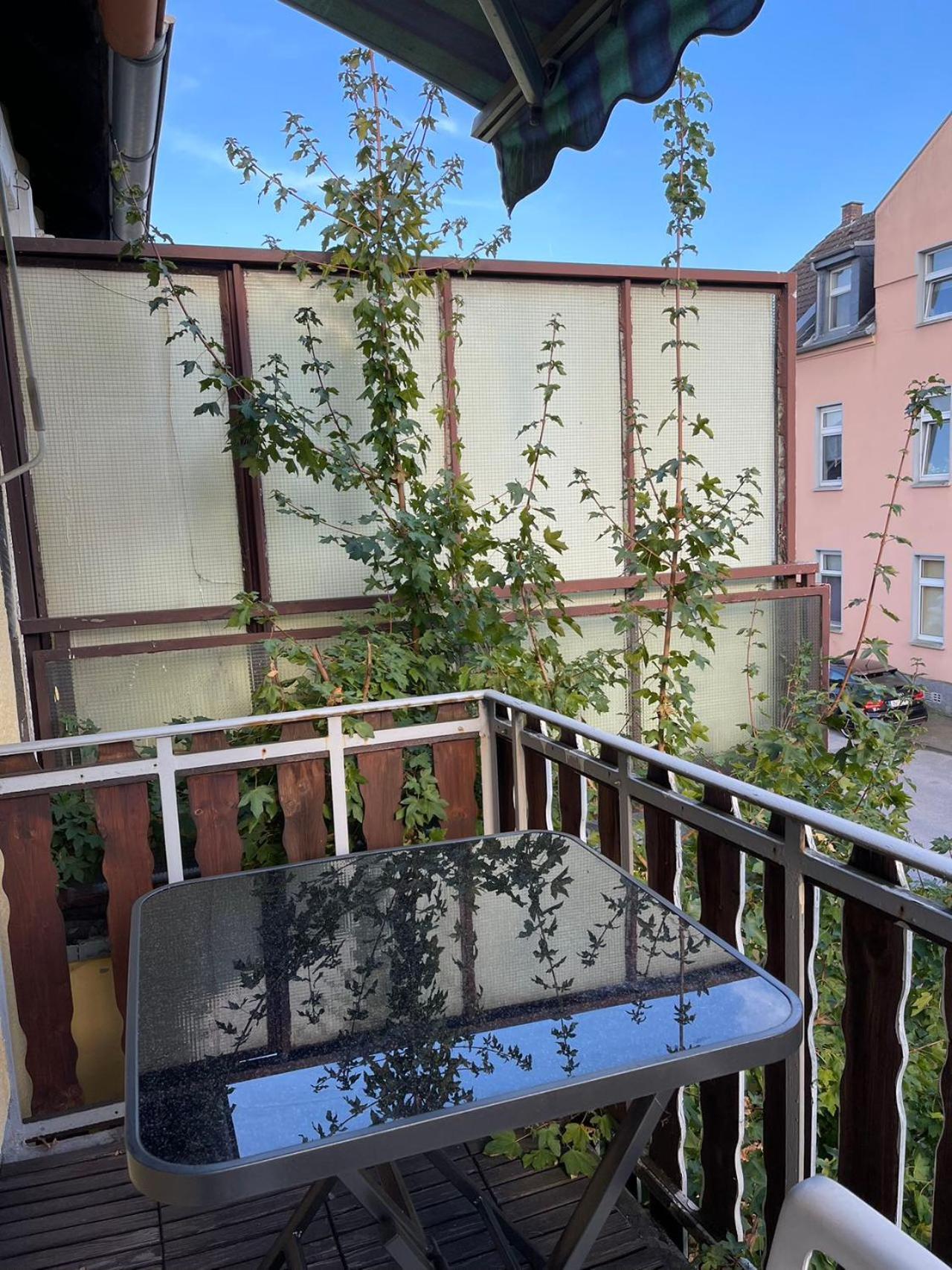 Duesseldorf Messe And Airport, 2-Bedroom Apartment With Kitchen And Garden Duisburg Ngoại thất bức ảnh